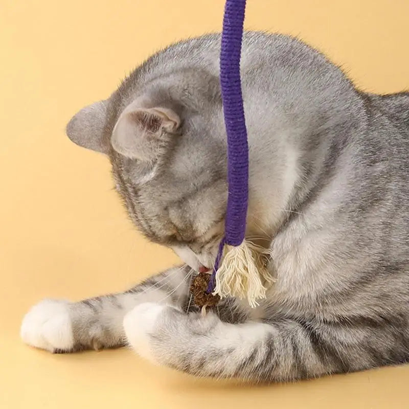 Cat Scratcher Rope
